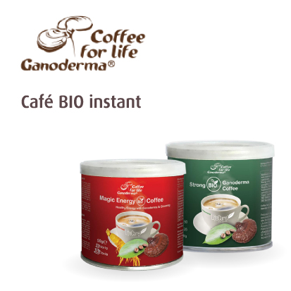 ganoderma